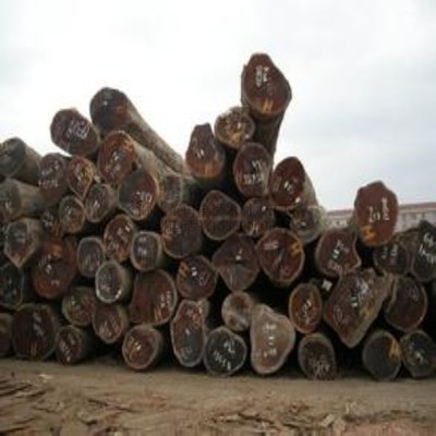 柳桉木防腐木企業(yè)文化交流活動在莆田豐獅木材加工廠成功舉辦