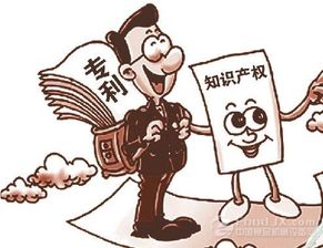 什么是知識(shí)產(chǎn)權(quán)服務(wù)